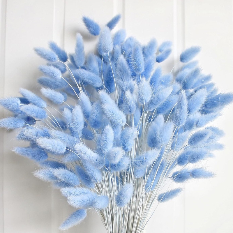 100PCS Blue Hare's-tail Grass  - огляд і ціна Florist Supply Vases